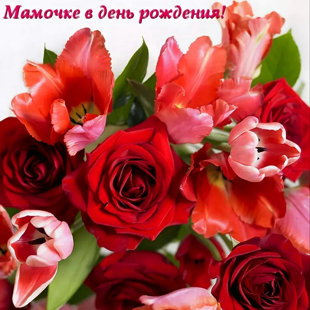День рождения мамы