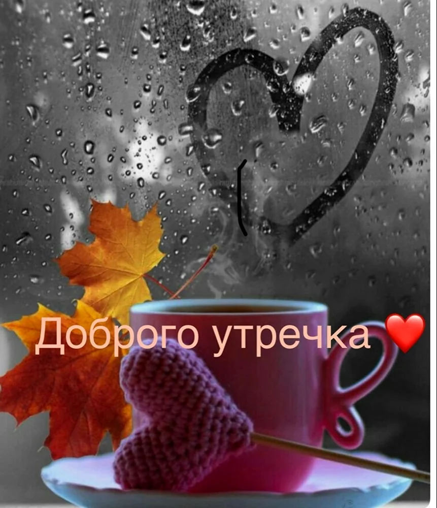 Доброе дождливое осеннее утро