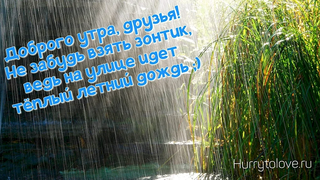 Доброе дождливое утро