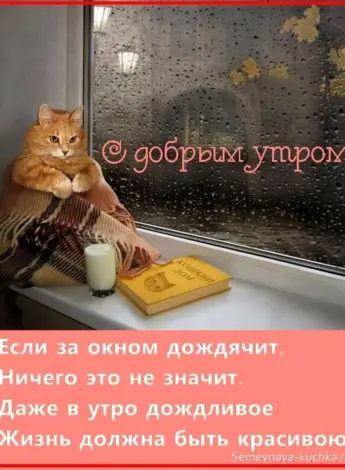 Доброе дождливое утро