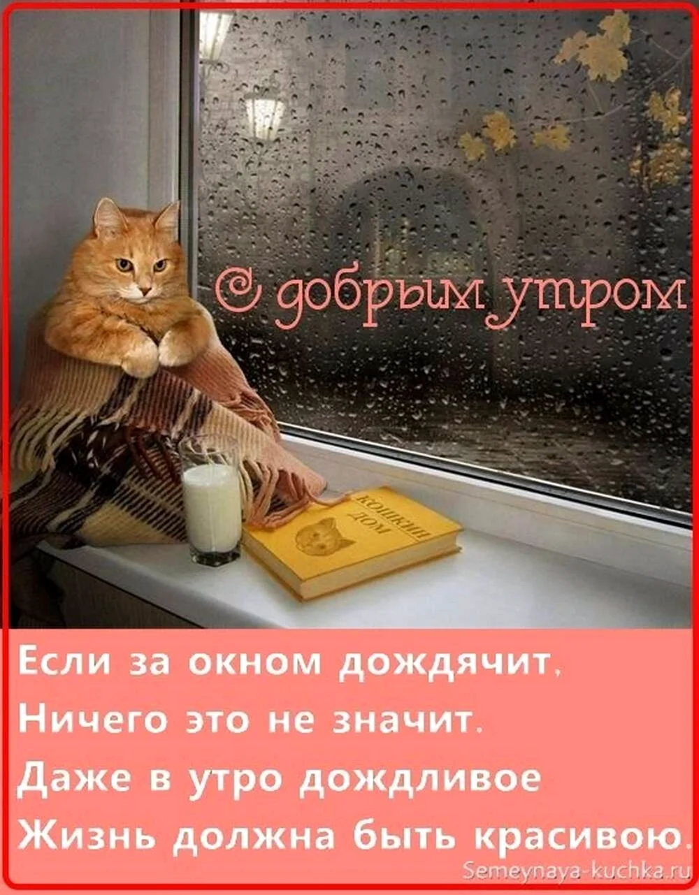 Доброе дождливое утро