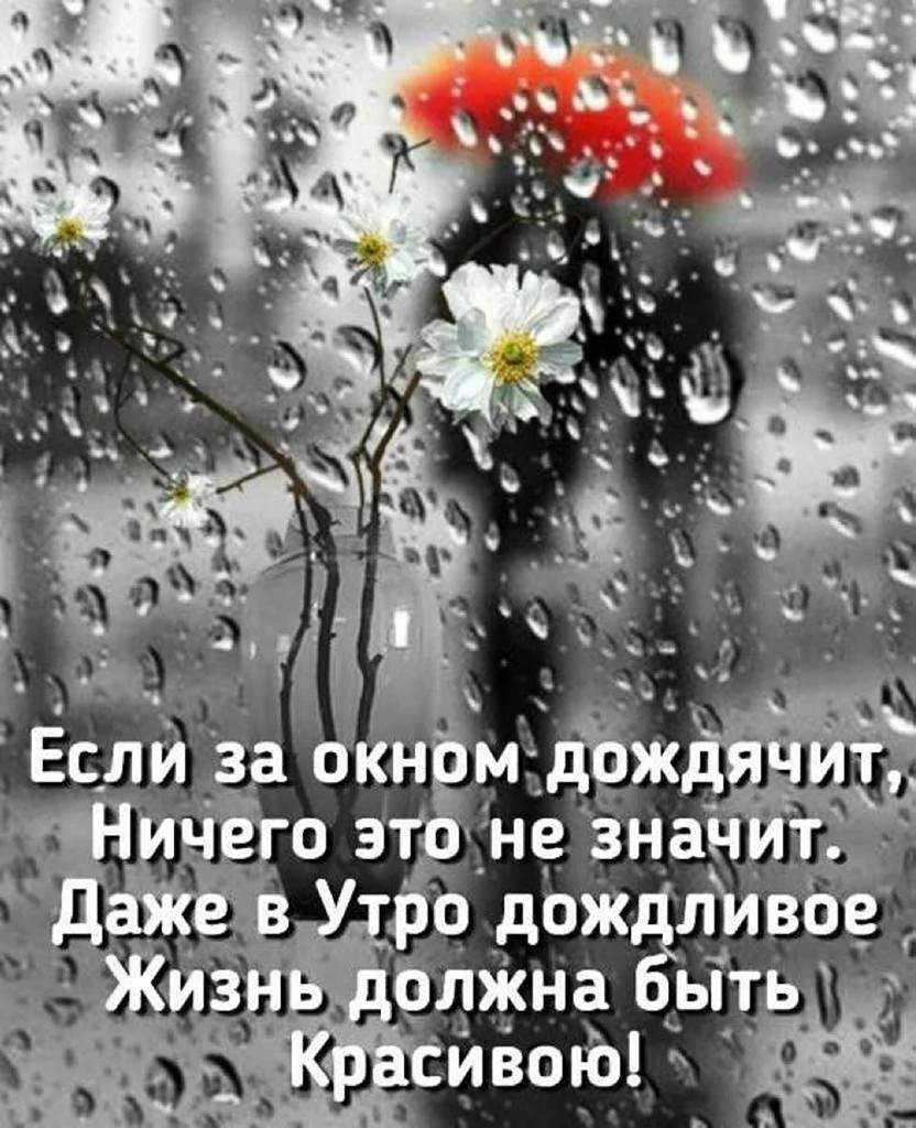 Доброе дождливое утро