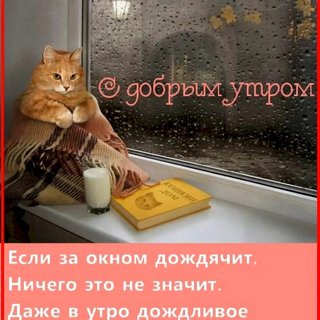 Доброе дождливое утро