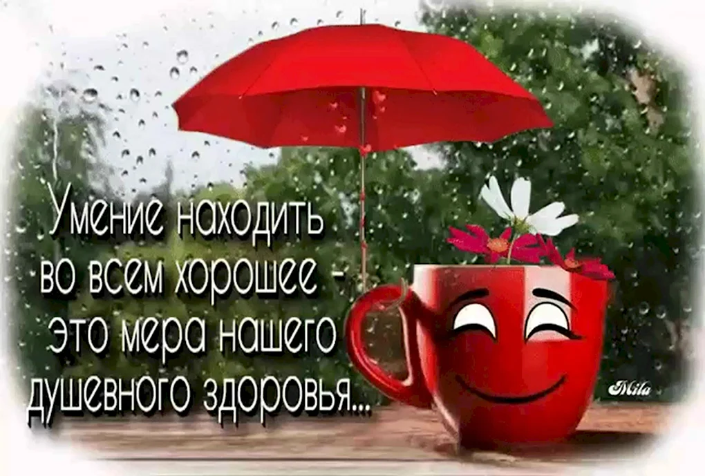 Доброе дождливое утро