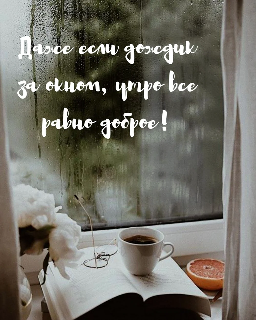 Доброе дождливое утро