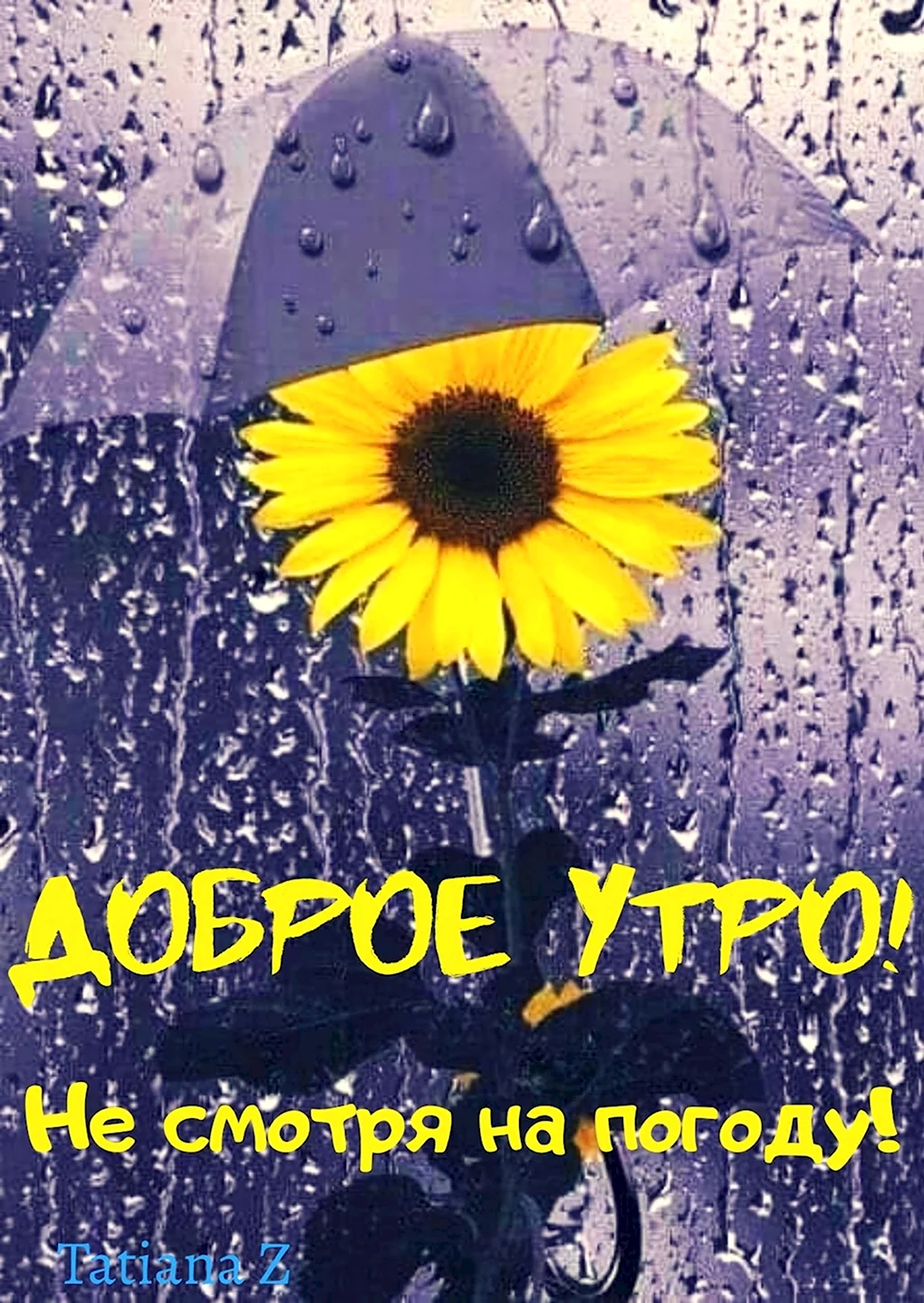 Доброе дождливое утро