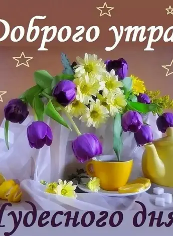 Доброе к РО хорошегл дря