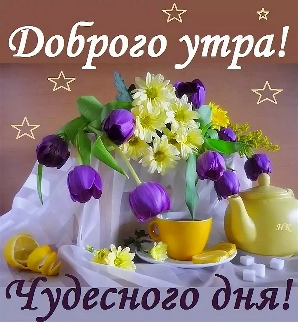 Доброе к РО хорошегл дря
