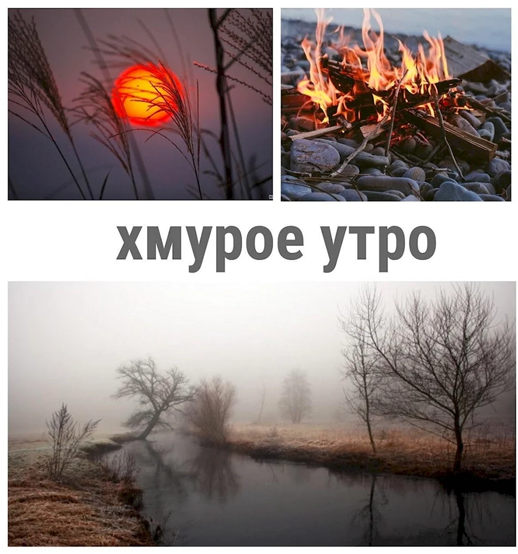 Доброе хмурое утро