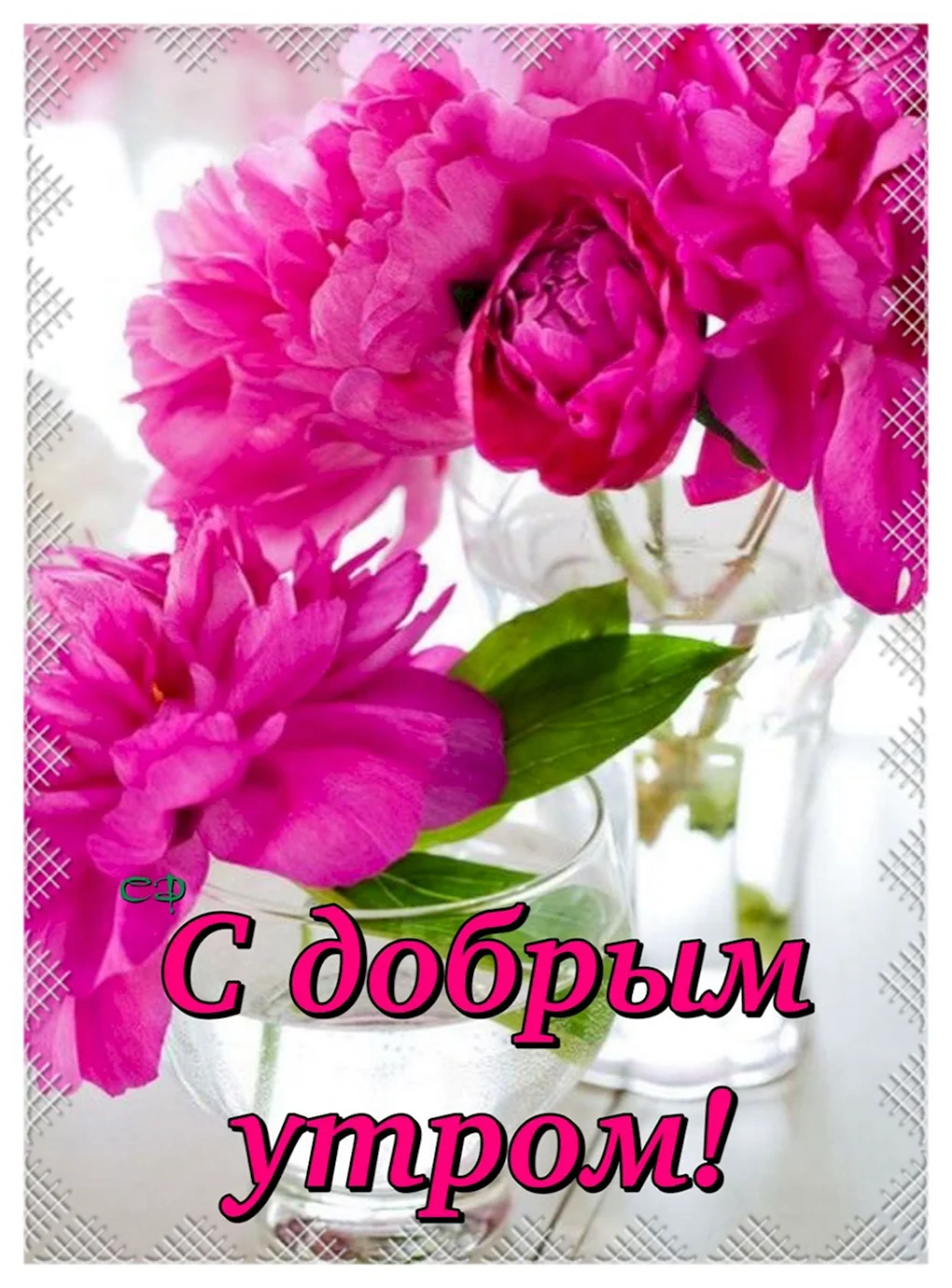 Доброе утро