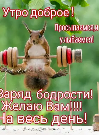 Доброе утро бодрости на весь день