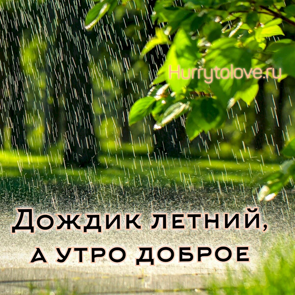 Доброе утро дождливое лето
