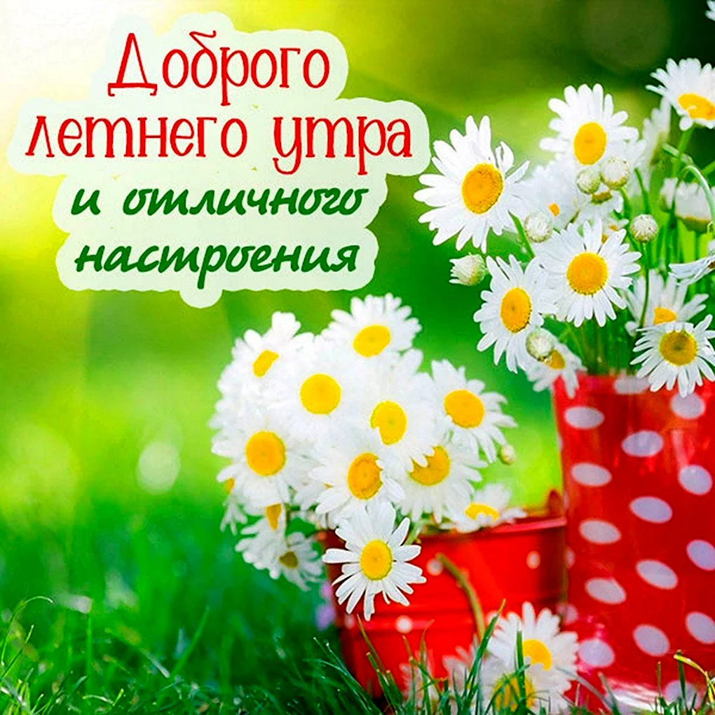 Доброе утро и хорошего дня красивые летние