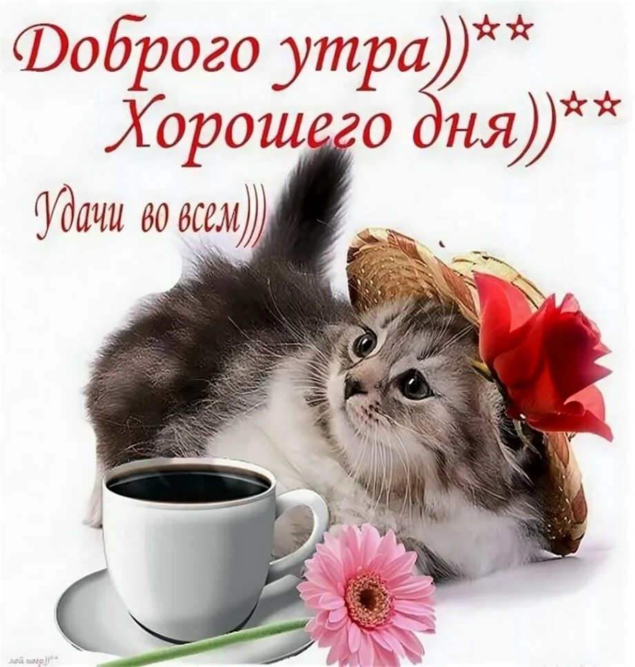 Доброе утро хорошего дея