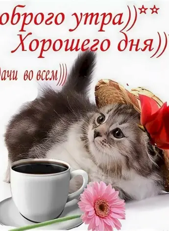 Доброе утро хорошего дея