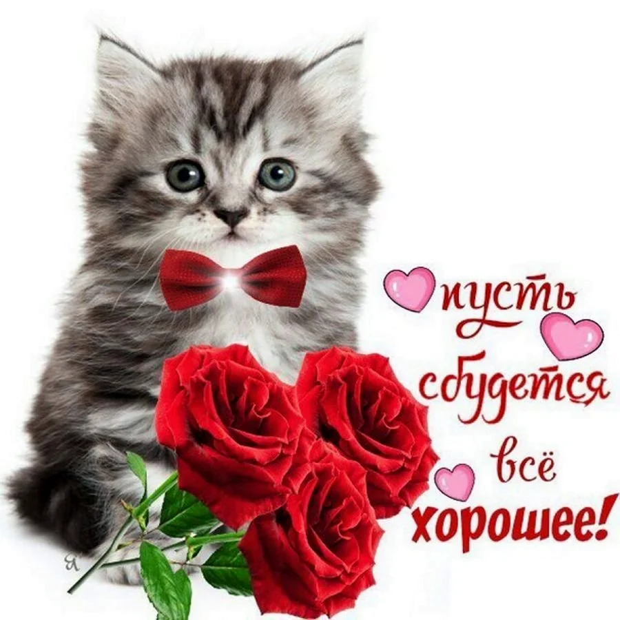 Доброе утро Леночка