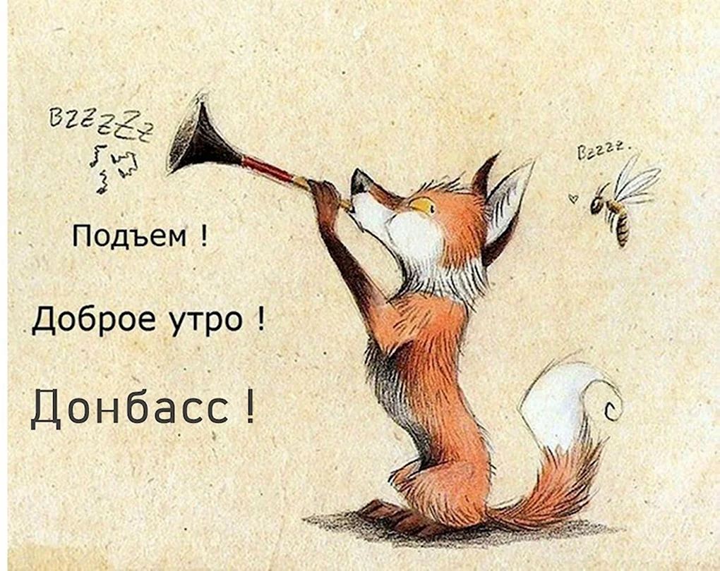 Доброе утро лиса