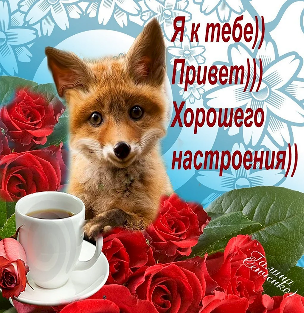 Доброе утро Лисенок