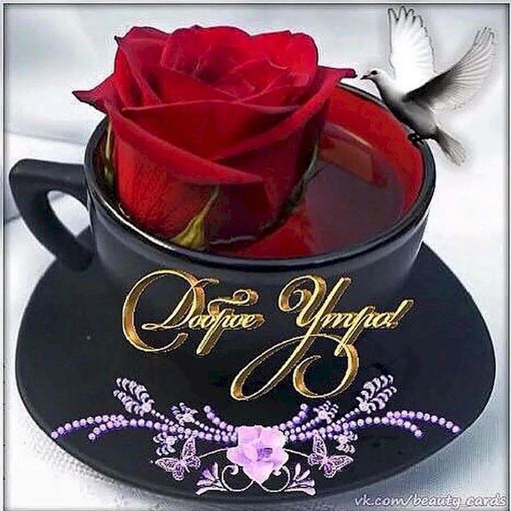 Доброе утро розы