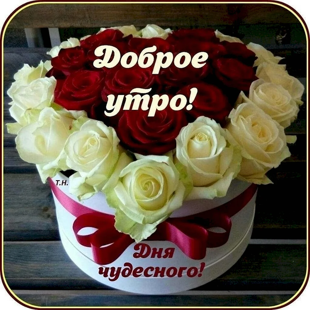Доброе утро с днем рождения