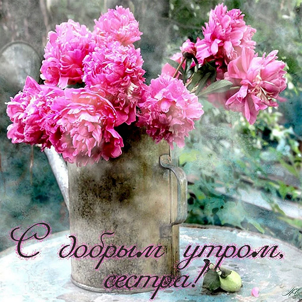 Доброе утро сестричка