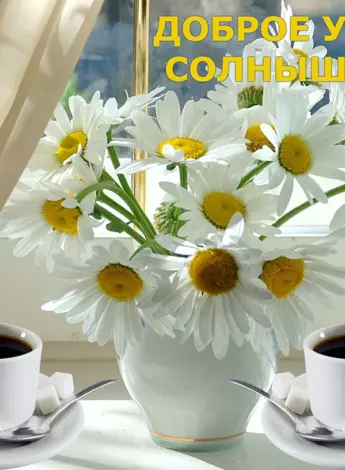 Доброе утро солнышко