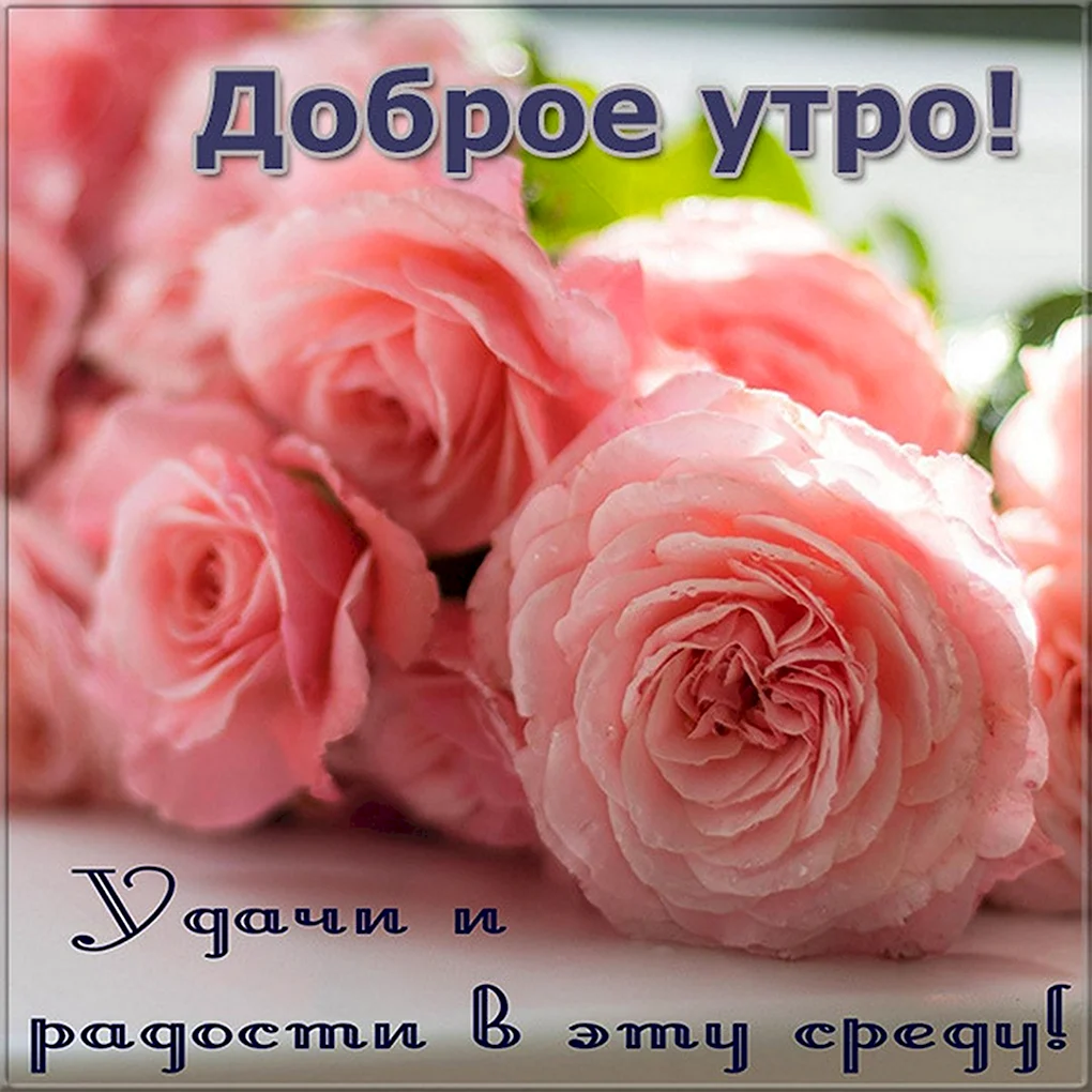 Доброе утро среды