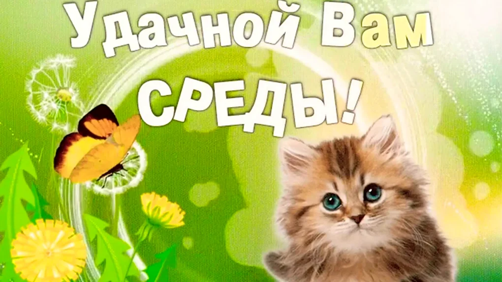 Доброе утро среды