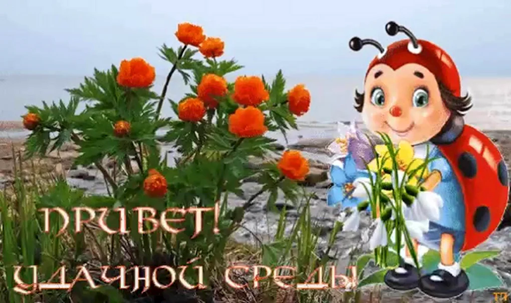 Доброе утро среды