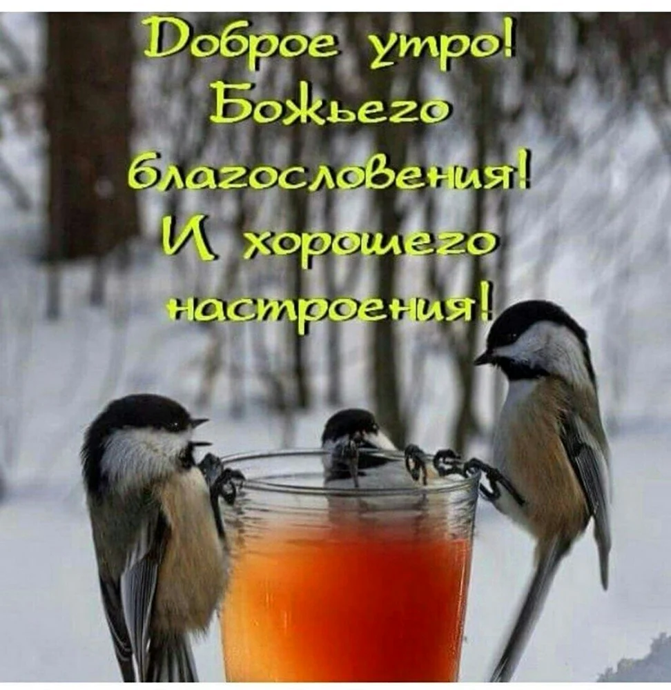 Доброе зимнее утро