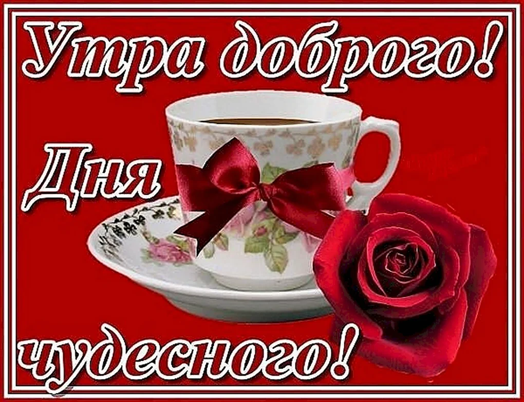 Доброго утра и дня