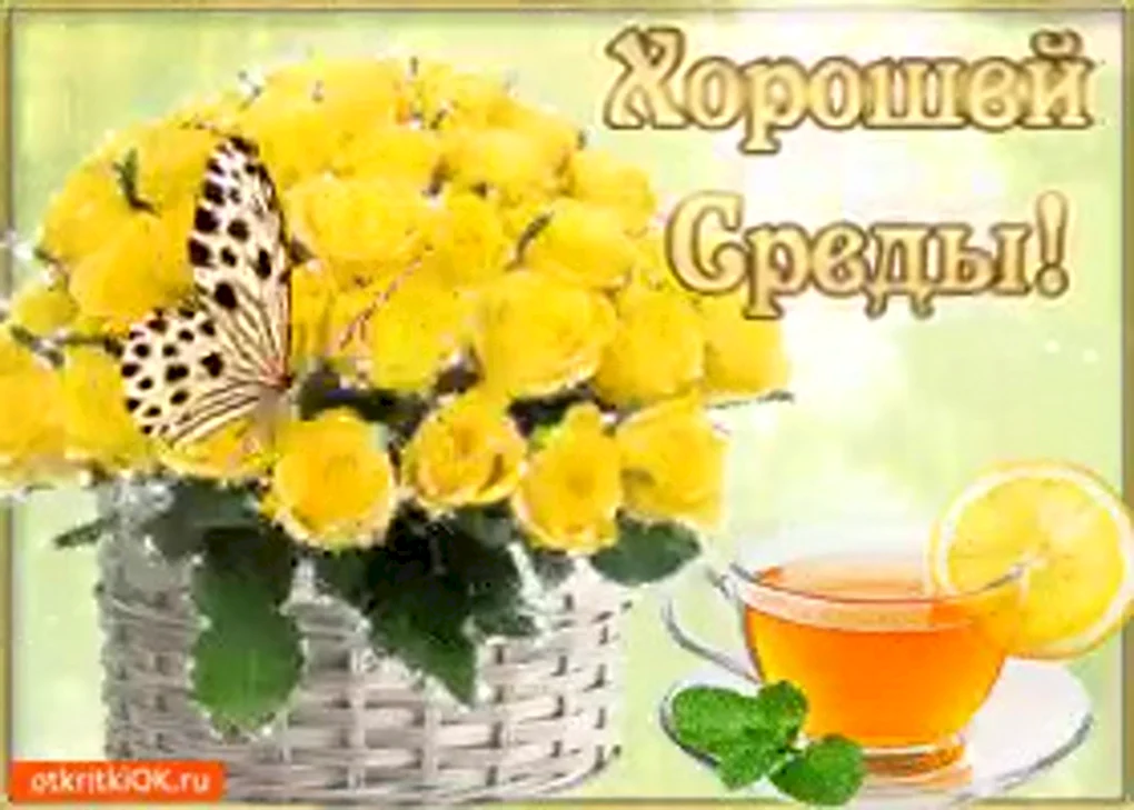 Доброго утра и отличного настроения на весь день