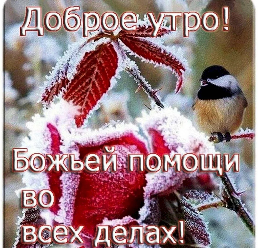 Доброго утро и отличного настроения зимнии