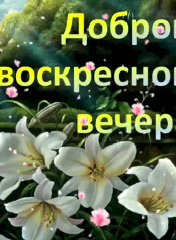 Доброго воскресного вечера