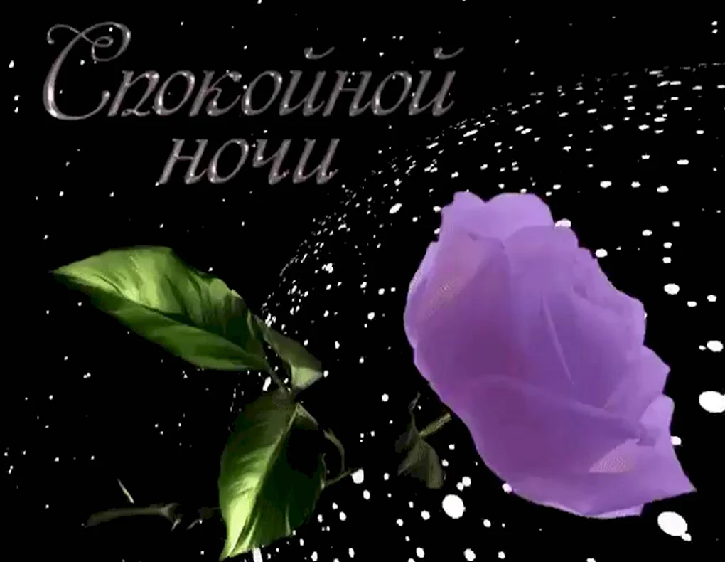 Доброй ночи