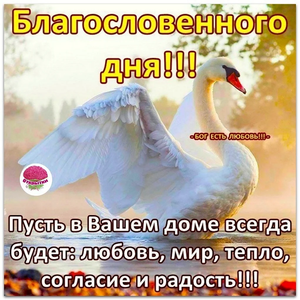 Доброк УТРАИ благославенного дн