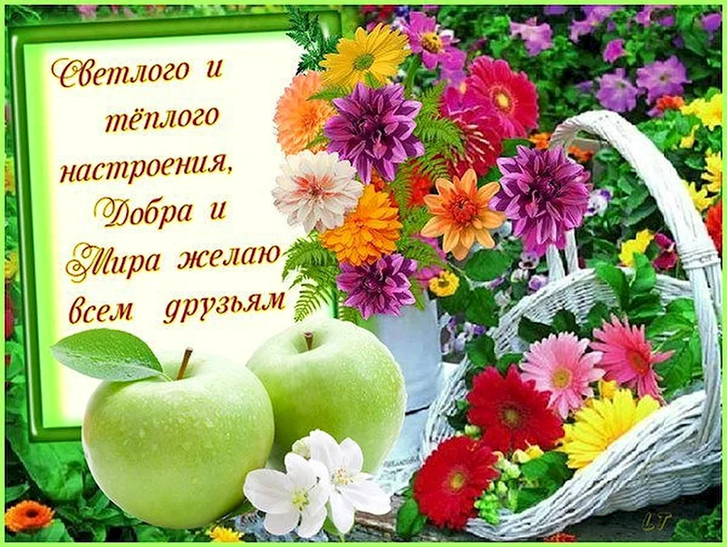 Добрые пожелания