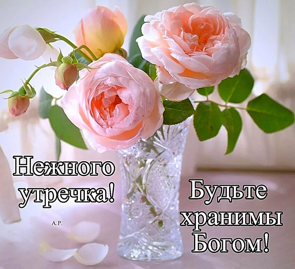 Добрые пожелания