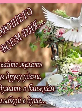 Добрые пожелания