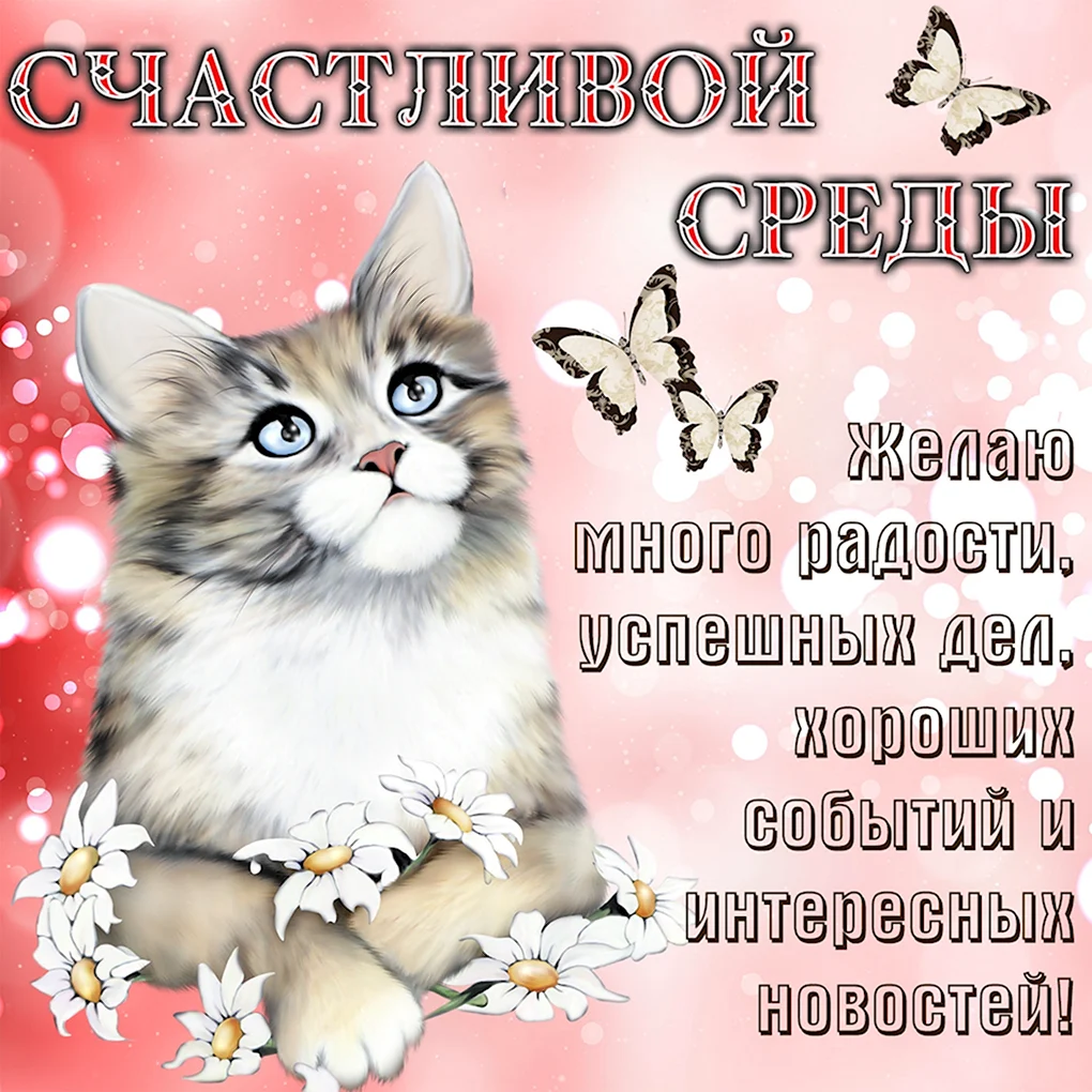 Добрые пожелания