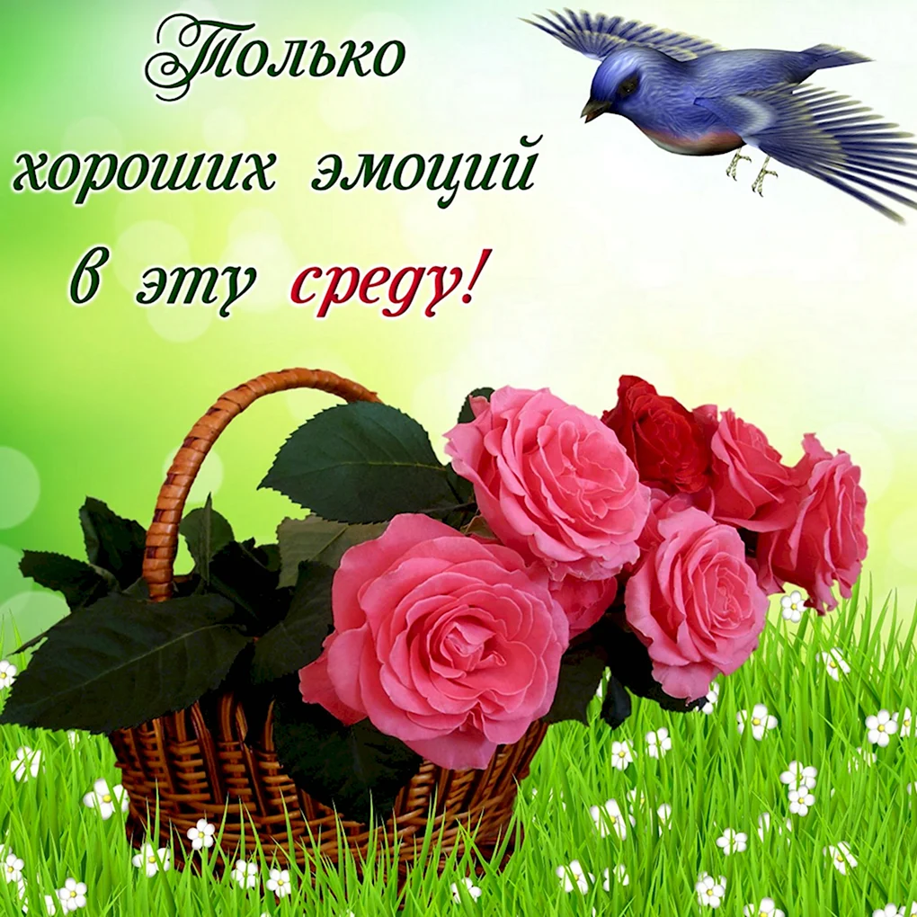 Добрые пожелания