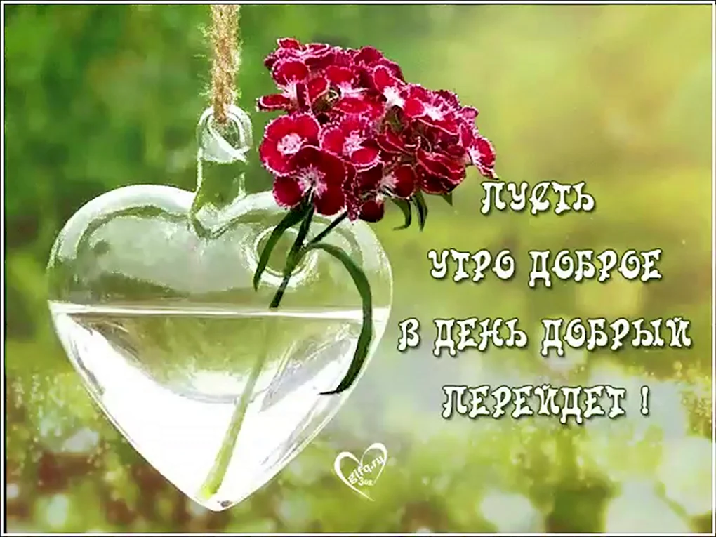 Добрые пожелания