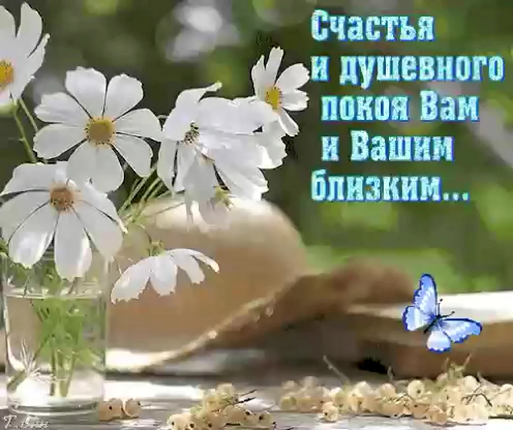 Добрые пожелания