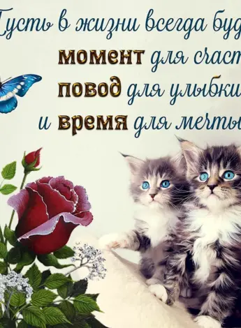 Добрые пожелания