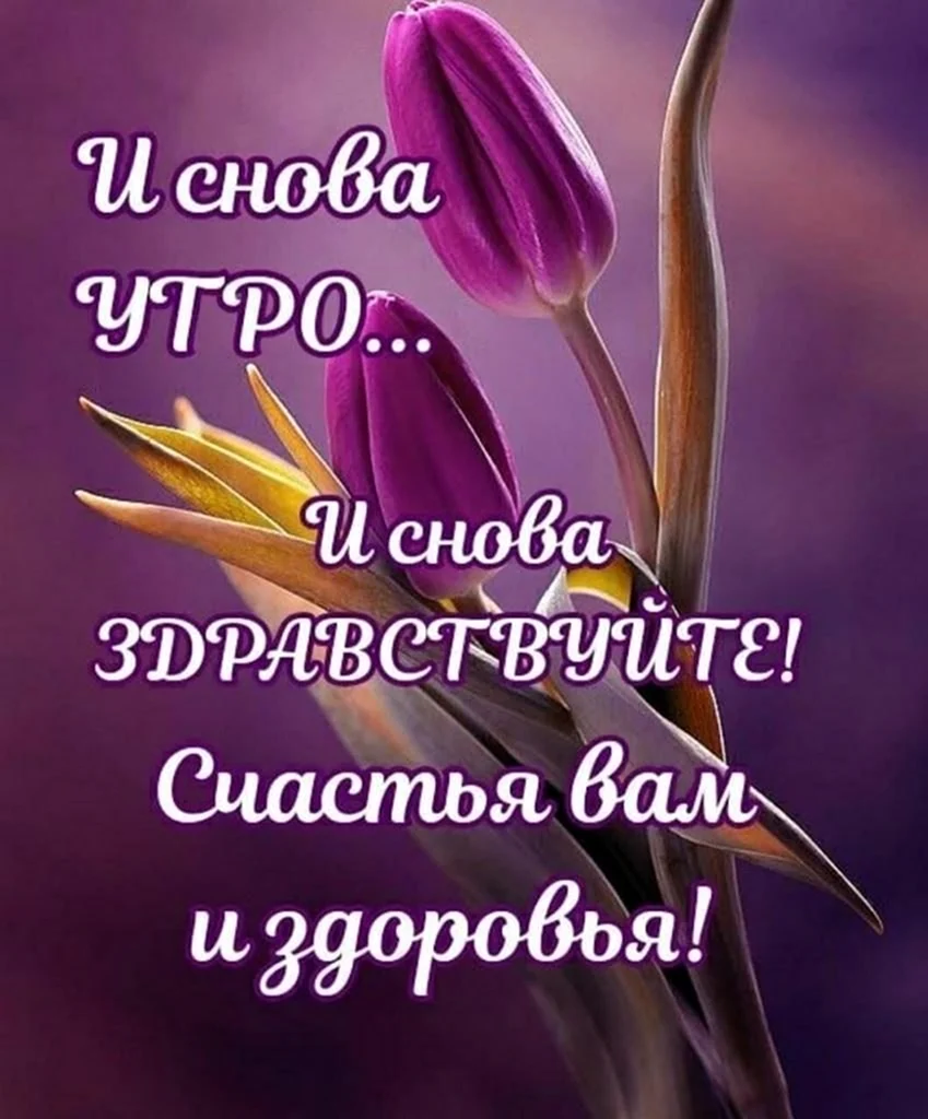 Добрые пожелания и высказывания