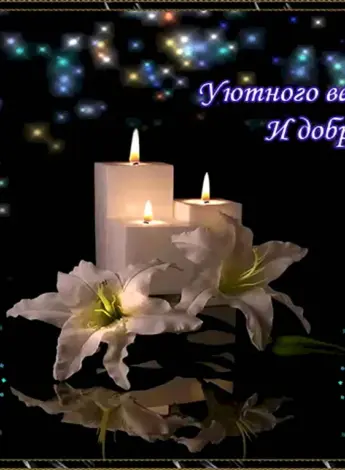 Добрый ве и спокойной ночи