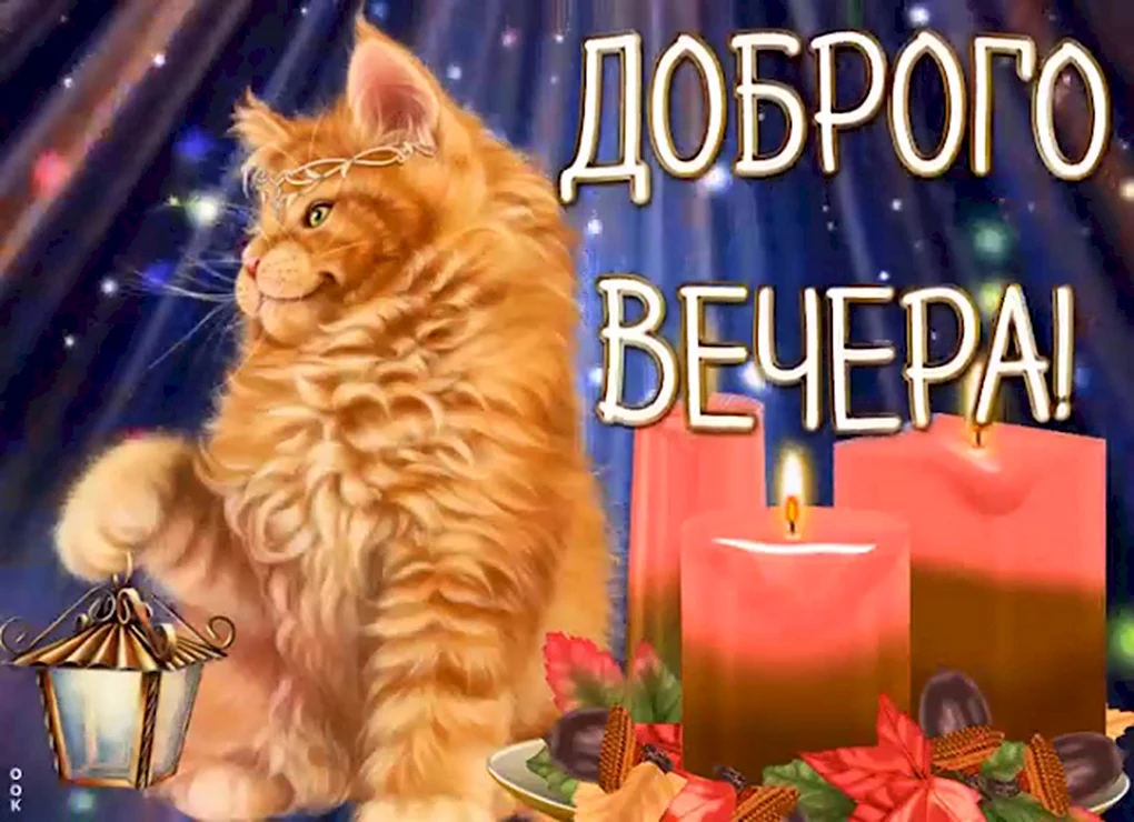 Добрый вечер с котиками