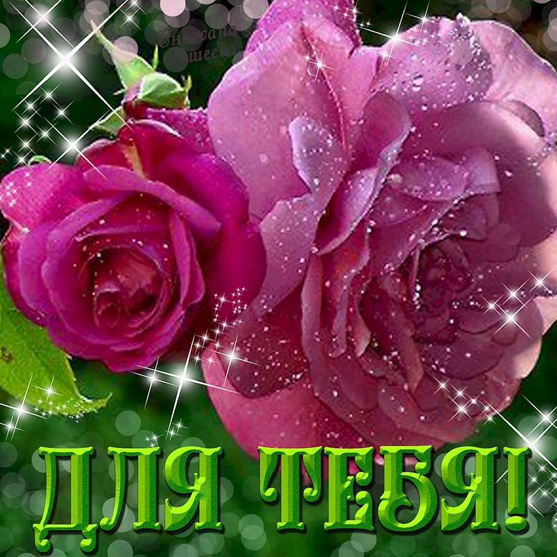 Екатерина цветочек