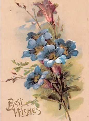 Катарина Кляйн Ландыши