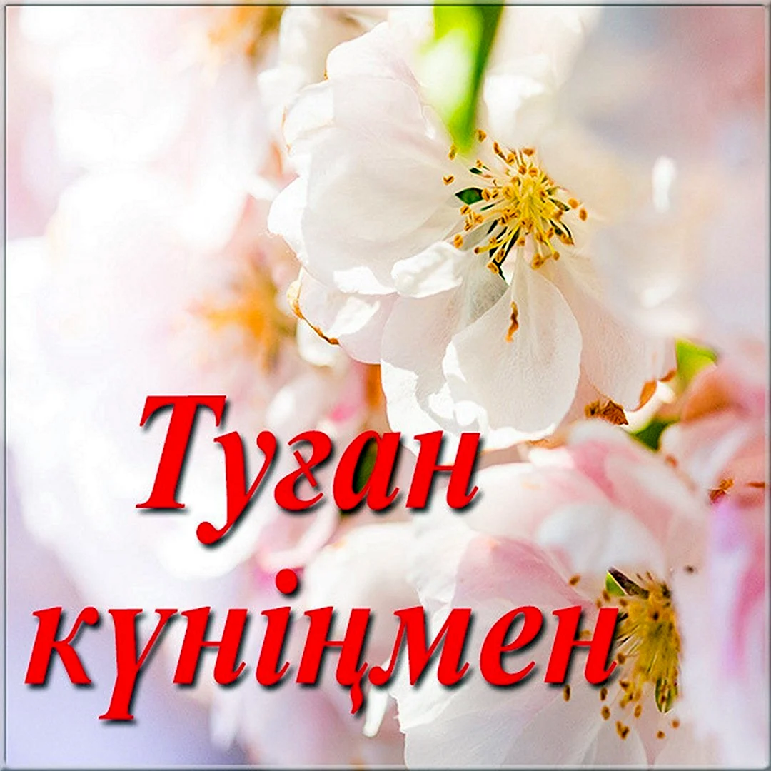 Казахские открытки с днем рождения